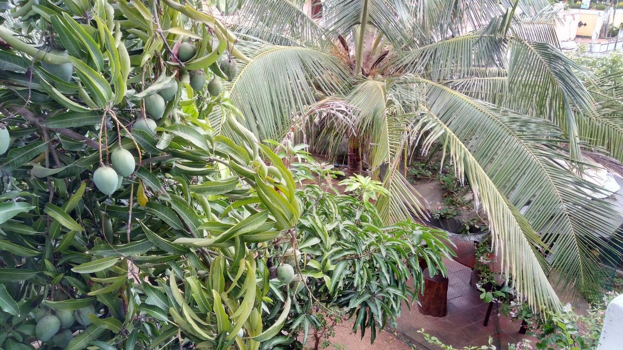 Sampathaa Residence Negombo Extérieur photo