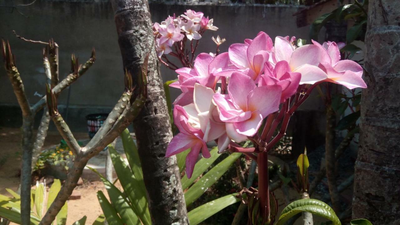 Sampathaa Residence Negombo Chambre photo