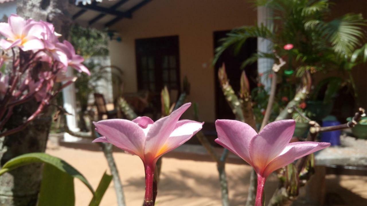 Sampathaa Residence Negombo Chambre photo